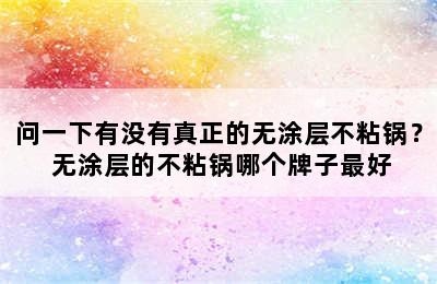 问一下有没有真正的无涂层不粘锅？ 无涂层的不粘锅哪个牌子最好